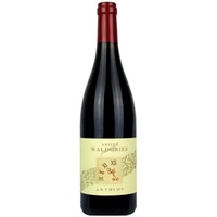 Ansitz Waldgries St. Magdalener "Antheos"