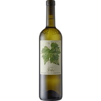 Grappa Vallemaggia di uva Americana - Vini & Distillati Angelo Delea SA (43,73 CHF pro 1 l)