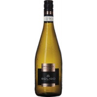 Colli del Soligo Prosecco Vino Frizzante DOC Treviso Extra Dry