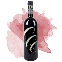 Litina Barbera d'Asti (Cascina Castlèt)