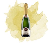 Spumante Arunda Brut (Arunda Sektkellerei/Vivaldi) 0,375 l