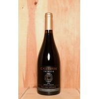 Tributo Malbec Pétreo Single Vineyard -Suckling 94, Parker 93