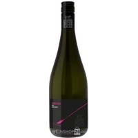 Prosecco D.O.C. Treviso Frizzante - Corte delle Calli (6 Flaschen)