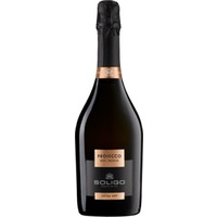 Prosecco Soligo Spumante DOC Treviso Extra Dry - colli del soligo (12 Flaschen)