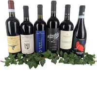 Rotweine für jeden Tag (6 Fl.) ggf.+Fracht