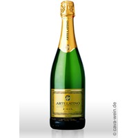 Cava Arte Latino Semi-Seco, Cava DOP