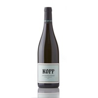 Pinot Noir "Roter Porphyr"