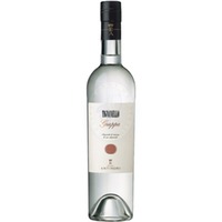 Grappa Tignanello Antinori