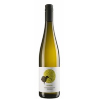 2023/2024 Sauvignon Blanc trocken - BIO