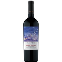 Kaiken Terrior Series Cabernet Sauvignon trocken