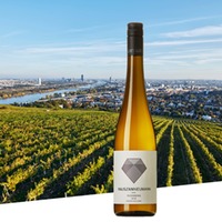 Veltliner Nussberg | Weingut Hajszan Neumann