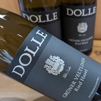 Dolle Grüner Veltliner Hasel