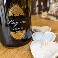 Bulgarini Lugana DOC