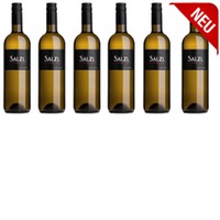 Chardonnay New Style im 6er Pack