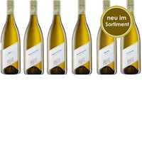 Grüner Veltliner Hund Pfaffl im 6er Pack