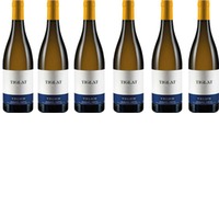 Tiglat Velich im 6er Vorteilspaket