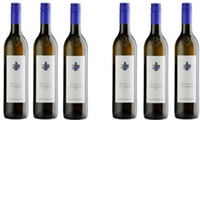 Kodolitsch DAC-Verkostungspaket