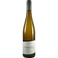 Rheinblick Riesling Trocken - Weingut Knewitz