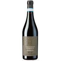 San Silvestro, Barbera Passito Appassimento Piemont DOP, Cantine San Silvestro