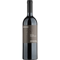 Duca Sanfelice Ciro Rosso Classico Superiore Riserva DOC 0,75l 14% - | Librandi