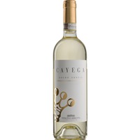 Roero Arneis DOCG Cayega 0,375l 13,5% - | Tenuta Carretta