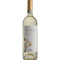 Roero Arneis DOCG Cayega 0,75l 13,5% - | Tenuta Carretta