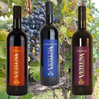 Enoteca VETLUNA (6 Fl.) - ggfs.+ Fracht