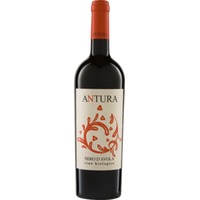 Nero d`Avola 'Antura' DOP Maggio Vini Bio