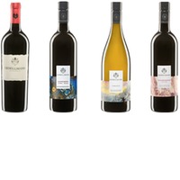 G 2021Gesellman Paket