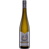 Grüner Veltliner Ried Brunndoppel Traisental DAC Reserve