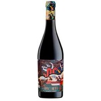 Appassimento Rosso igt Domini Veneti Cantina Negrar