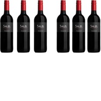 Weingut Salzl  das kleine Kostpaket in Rot!