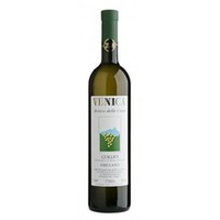 Friulano Ronco delle Cime DOC Collio