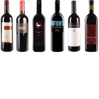 Kennenlernpaket Zweigelt  Burgenland