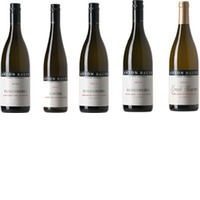 Degustationsweinpaket 5er Paket Anton Bauer