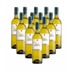 Caude Val Weißwein Sauvignon Blanc Paul Mas 12er Weinpaket 