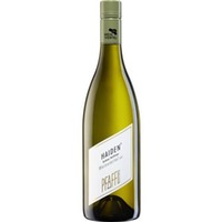 Pfaffl Grüner Veltliner Weinviertel DAC Haiden