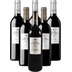 Solar de Becquer Rotwein Probierpaket Bodegas Escudero 6er Angebot 