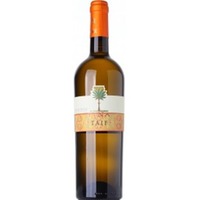 Taif - I.G.P Terre Siciliane - Cantine Fina
