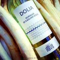 Dolia Nuragus di Cagliari DOC 1,5 Ltr