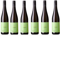 Grüner Veltliner Kamptal DAC Loimer 6er Paket