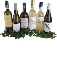 Weißweine für jeden Tag (6 Fl.) ggf.+Fracht