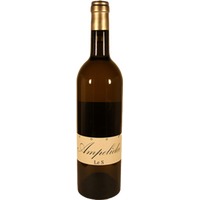 Frédéric Brochet Ampelidae Le S VDP de la Vienne - - Loire, Frankreich