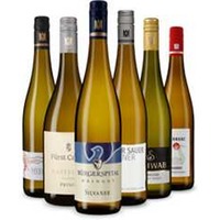 Fränkische Silvaner-Verkostungssieger