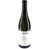 Olaszrizling Welschriesling trocken