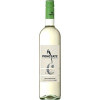 Welschriesling Classic Südsteiermark DAC