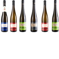 Nikolaihof Verkostungspaket mit Preisvorteil