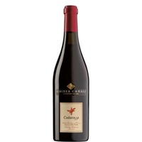 Lambrusco Grasparossa DOC Codarossa - Albinea Canali