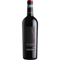 Valpolicella Caterina Zardini - Campagnola