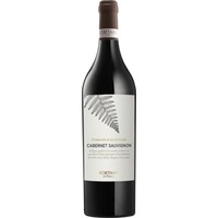 Fortant de France Terroir d'Altitude Cabernet Sauvignon